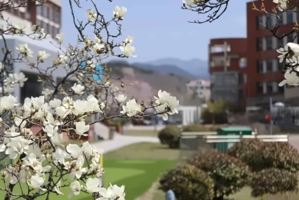 宏文学校青岛校区（原孔裔）
