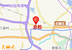 总校