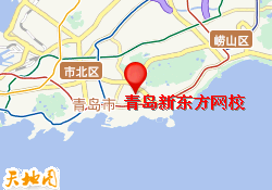 青岛新东方网校