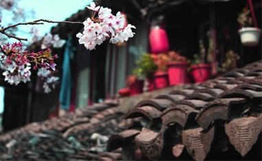 课程说明