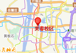 芙蓉校区