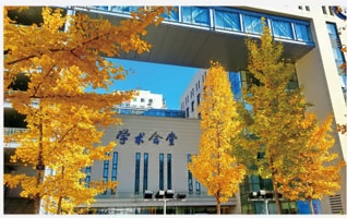 中央财经大学会计学院2+2国际本科招生简章