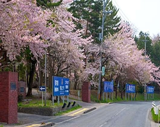青森县立保健大学