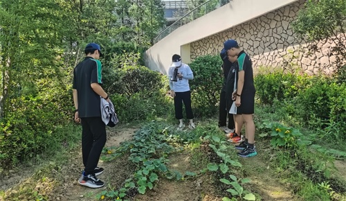 蘇州阿德科特學校農耕