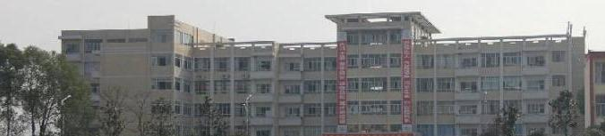 龙5