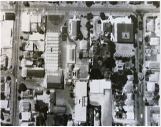 纳尔逊理工学院