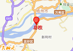总校