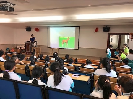 句容碧桂园学校马术课程1.jpg