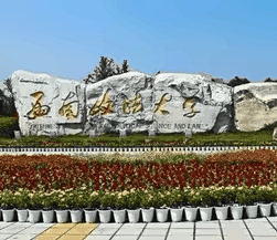 校门