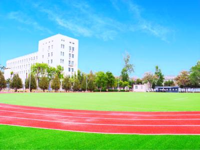 Descartes Academy 笛卡尔法语国际高中