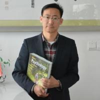 杨晓锋