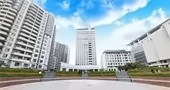 藤校导师高位引领