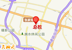 总校