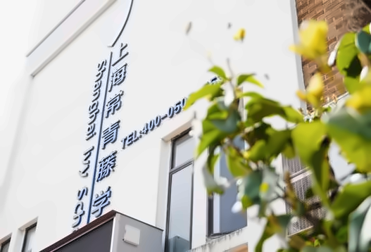 上海常青藤学校招生简章