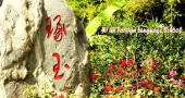 五大特色国际课程班