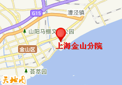 上海金山分院