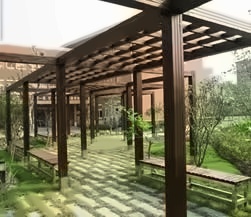 上海同济大学休闲长廊