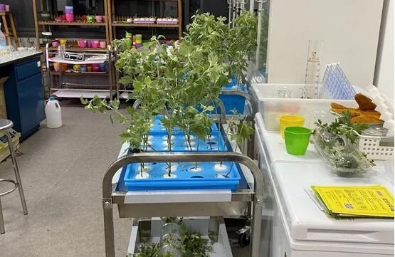 苏州海归学校方同学生物IA研究实验.jpg