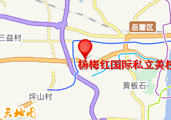 杨梅红国际私立美校