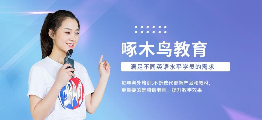 啄木鸟教育