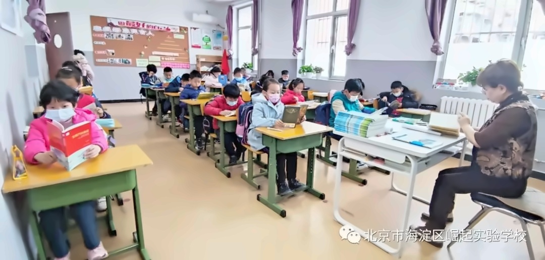 杉树.jpg