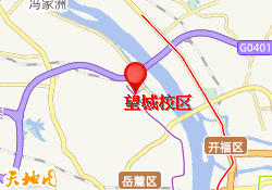 望城校区