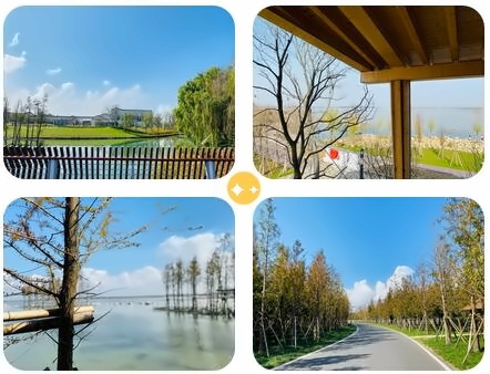 中加楓華校園環境.jpg