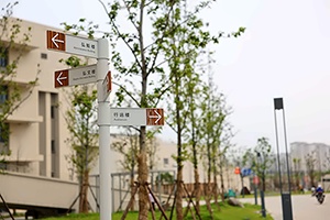 江苏省靖江高级中学国际部校园一角