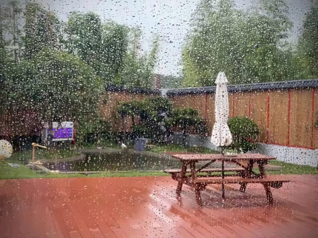 上海朝阳义塾雨后校园.jpg