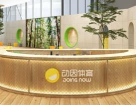 深圳动因体育