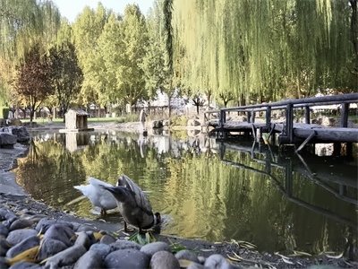 对外经济贸易大学剑桥国际学校校园环境
