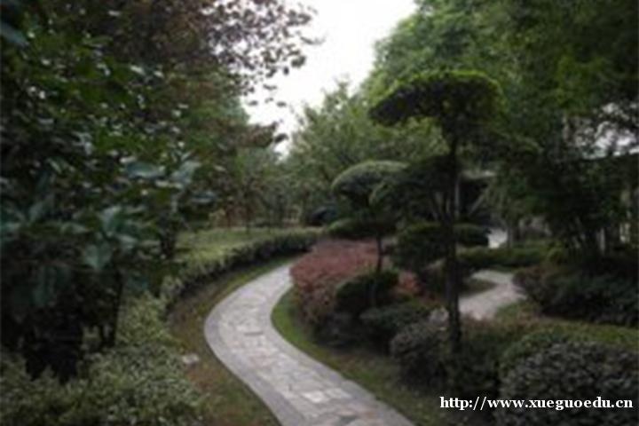 东方艺考培训学校