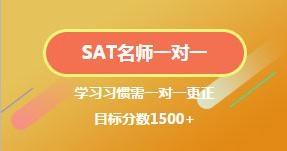 SAT一对