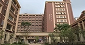 国际课程