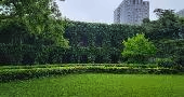 师资队伍稳定