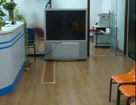 青岛伯格雷斯外语学校