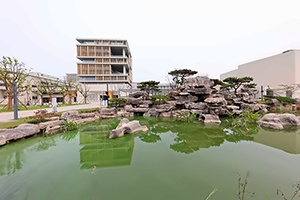江苏省靖江高级中学国际部A-LEVEL剑桥班招生简章