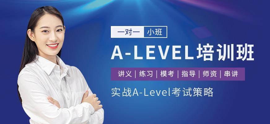 哈尔滨alevel培训