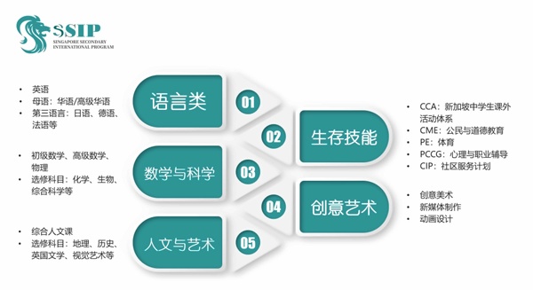 上海东鼎外国语学校新加坡公立国际高中课程设置.jpg