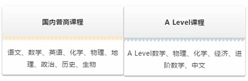 A Level融合课程