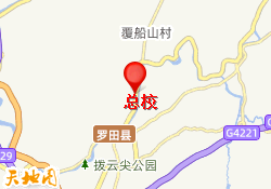总校