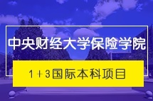 中央财经大学保险学院国际本科1+3国际本科项目