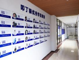 沈阳叩丁狼教育