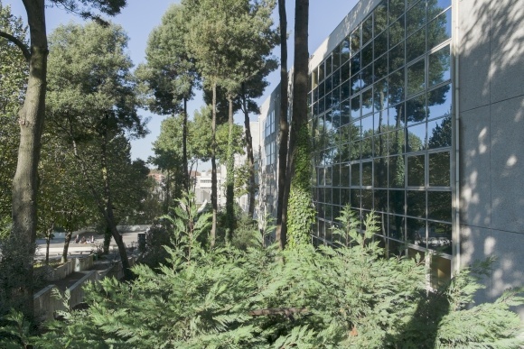 波图卡莱大学