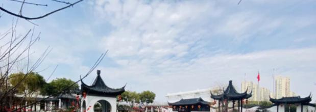 南京师范大学附属实验学校2021年招生计划