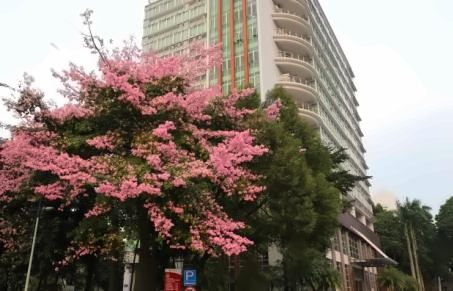 广东金融学院“1+1”国际硕士预科项目