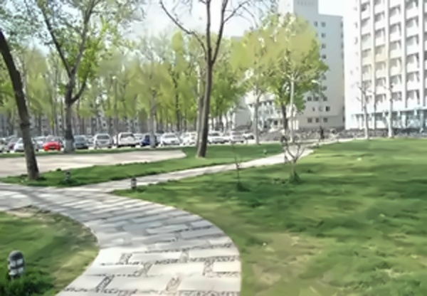 中央财经大学