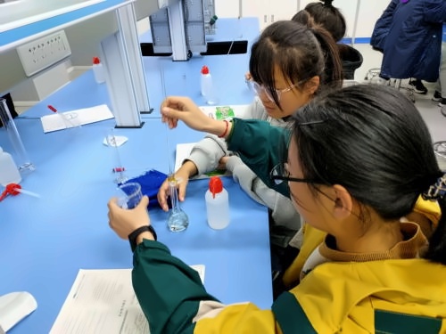 湖州帕丁顿双语学校学生上课