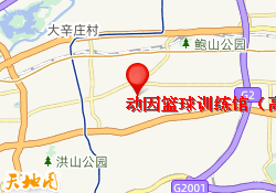 动因篮球训练馆（高新奥体中路店）