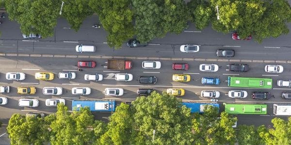 沈阳卓言教育校区在哪里